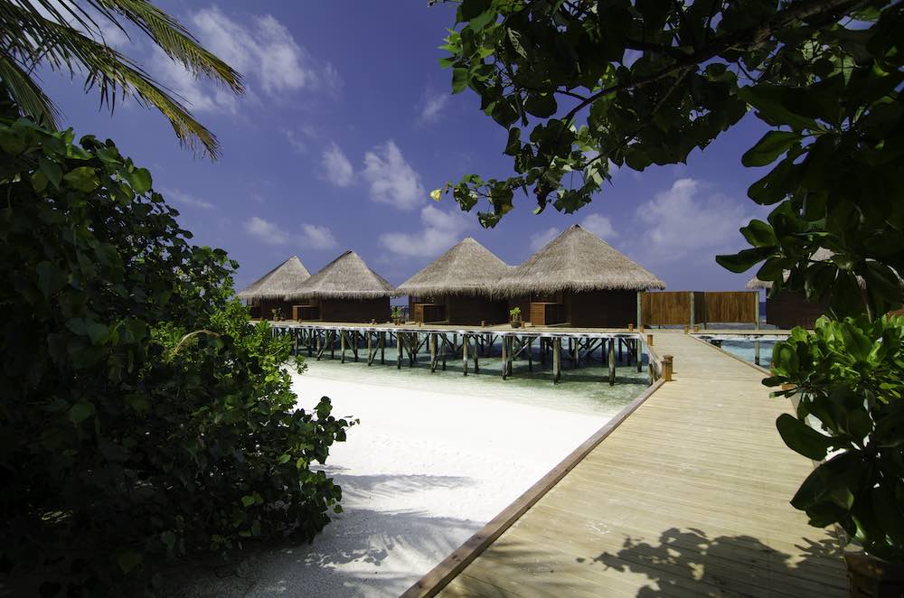 Water Villa photo 5
